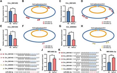 Profile analysis and functional modeling identify circular RNAs in nonalcoholic fatty liver disease as regulators of hepatic lipid metabolism